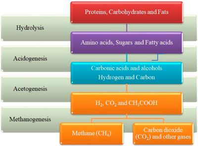 Potential of biomethane-based energy production from livestock waste biomass resources in Ethiopia